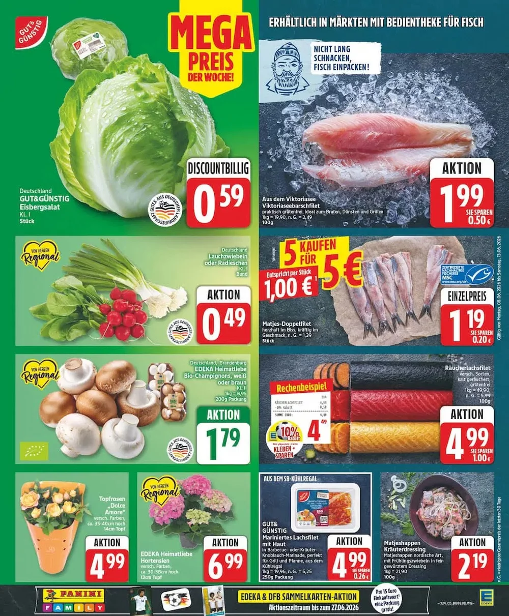 edeka prospekt juni 8 13 5