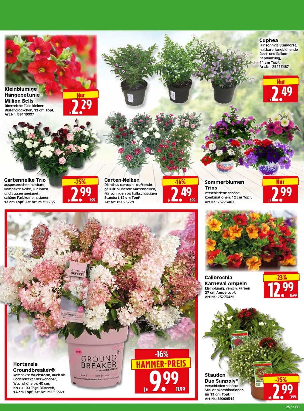 Herkules Baumarkt Prospekt Aktuell ab 15.06.2026 | Nächste Woche Online Blättern 2 herkules baumarkt prospekt juni 15 20 2