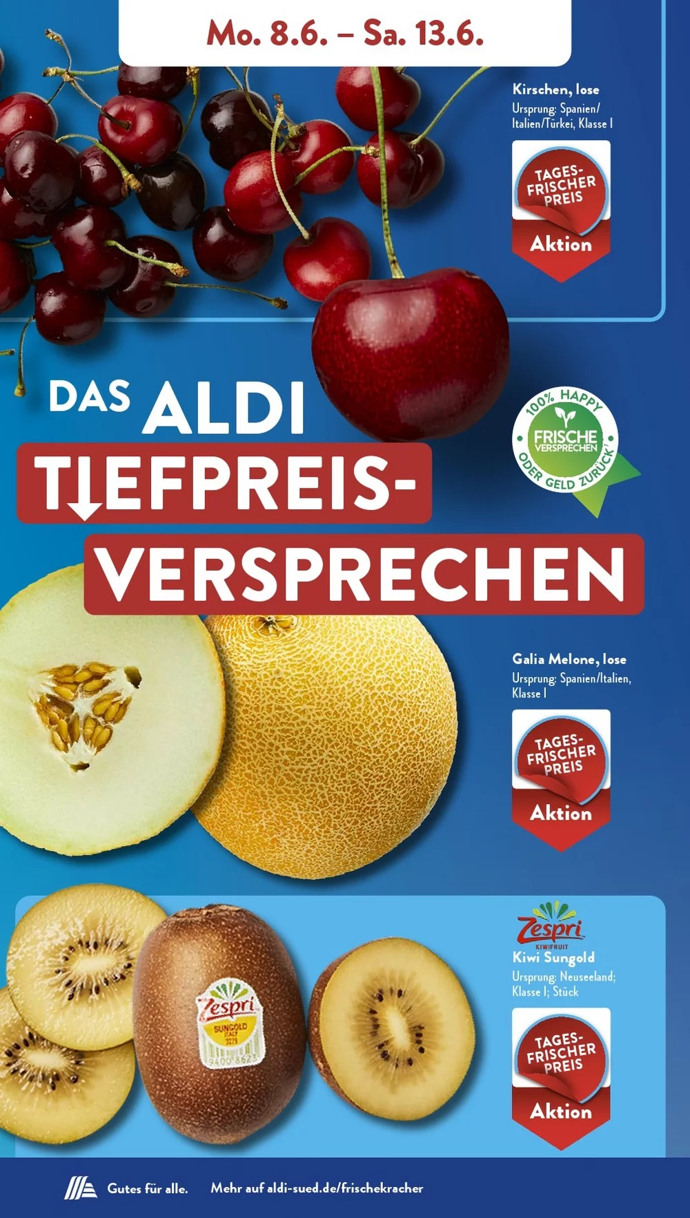 ALDI sud Prospekt juni 8 13 3