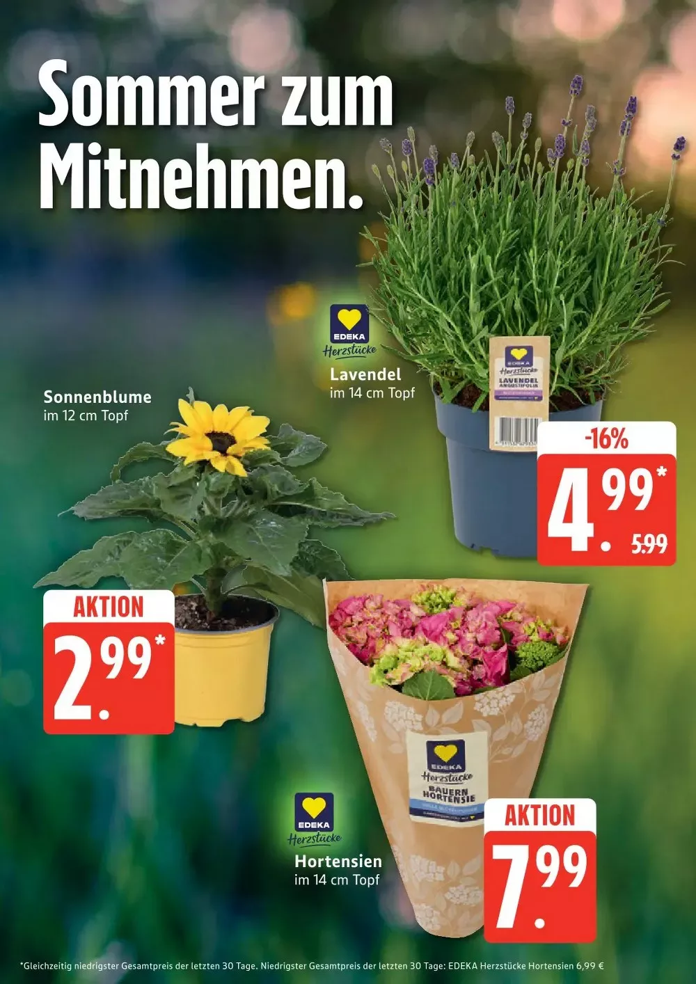 edeka nord prospekt juni 8 13 18