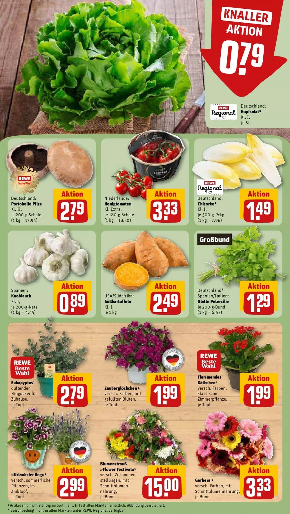 rewe prospekt juni 8 13 7 34617519