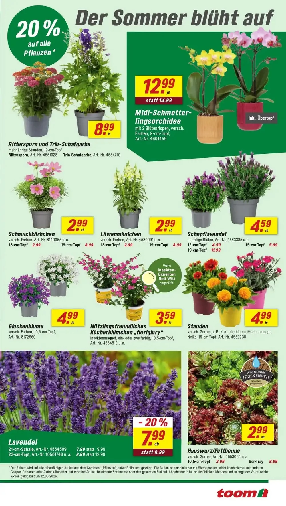 toom baumarkt prospekt juni 6 12 3